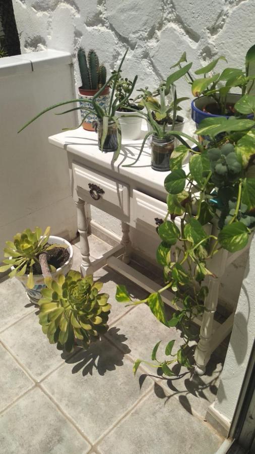 קוסטה דל סילנסיו Pino'S Vivienda Vacacional מראה חיצוני תמונה